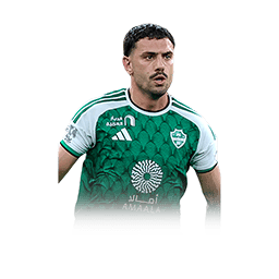 Demiral 119 CB card
