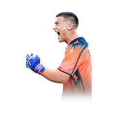 Stanković 116 GK card