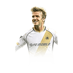Beckham 122 CM